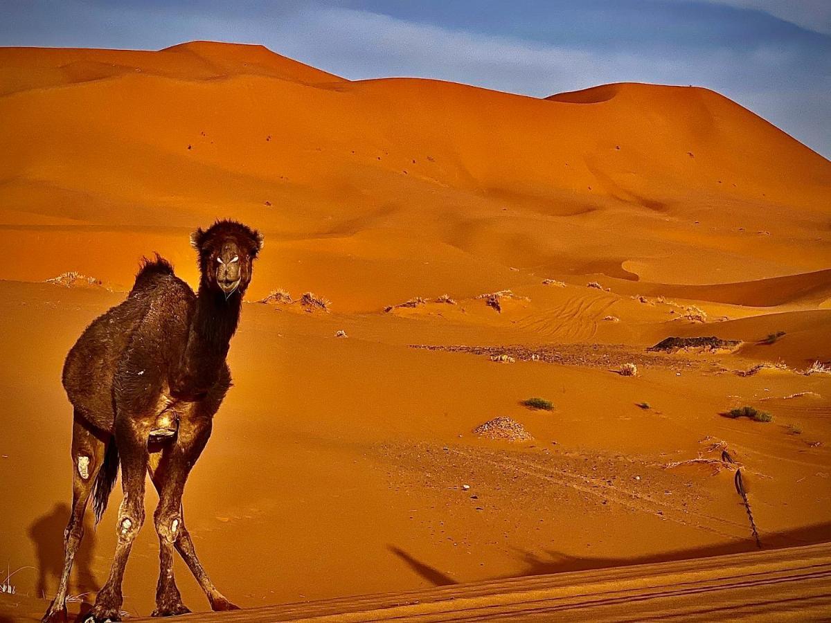 Your Berber Camp Merzouga Eksteriør billede