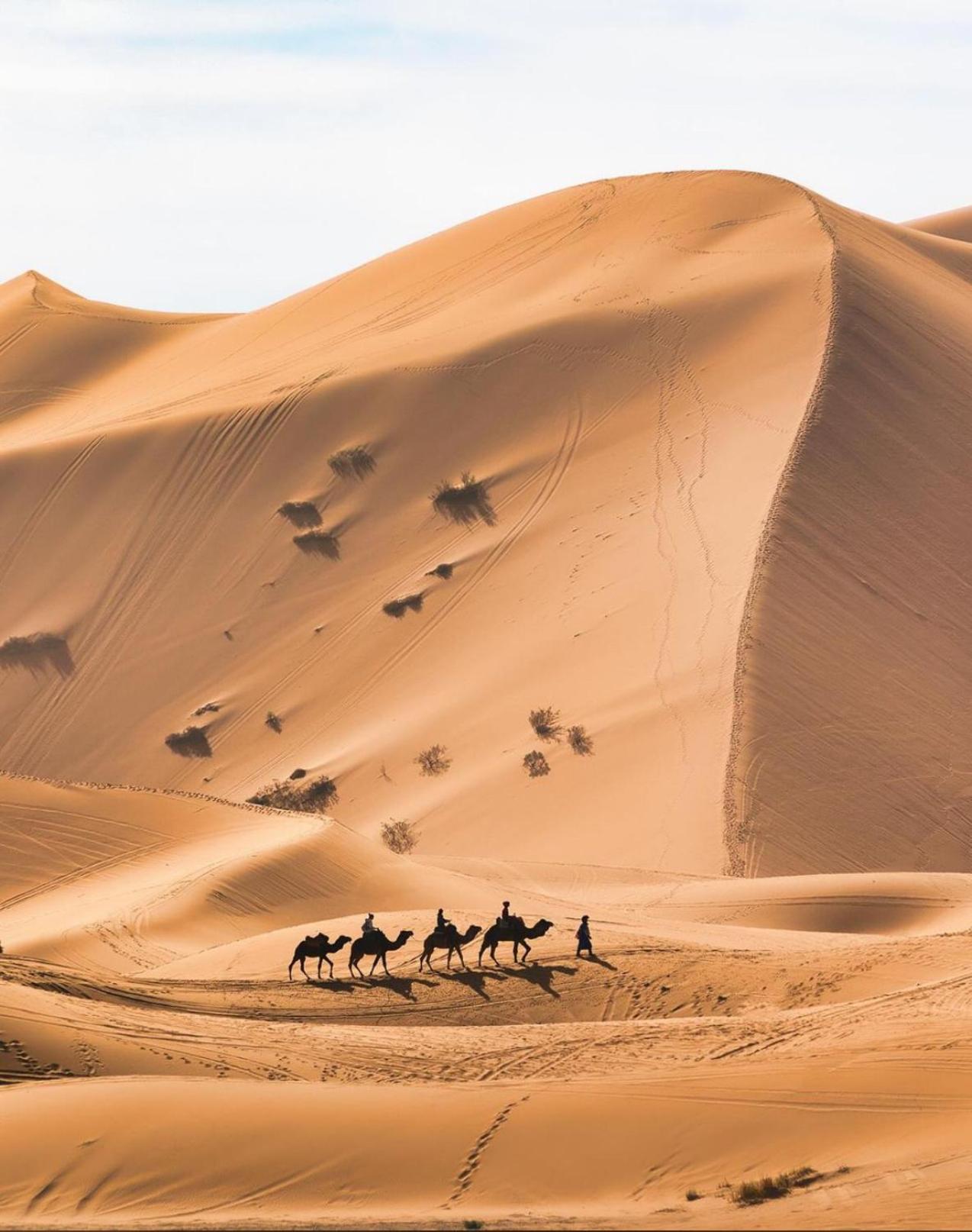 Your Berber Camp Merzouga Eksteriør billede